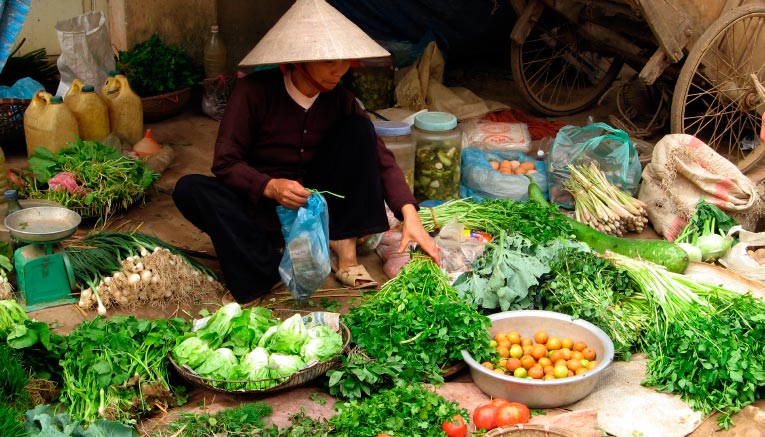 Bvii-vietnam-biking-4